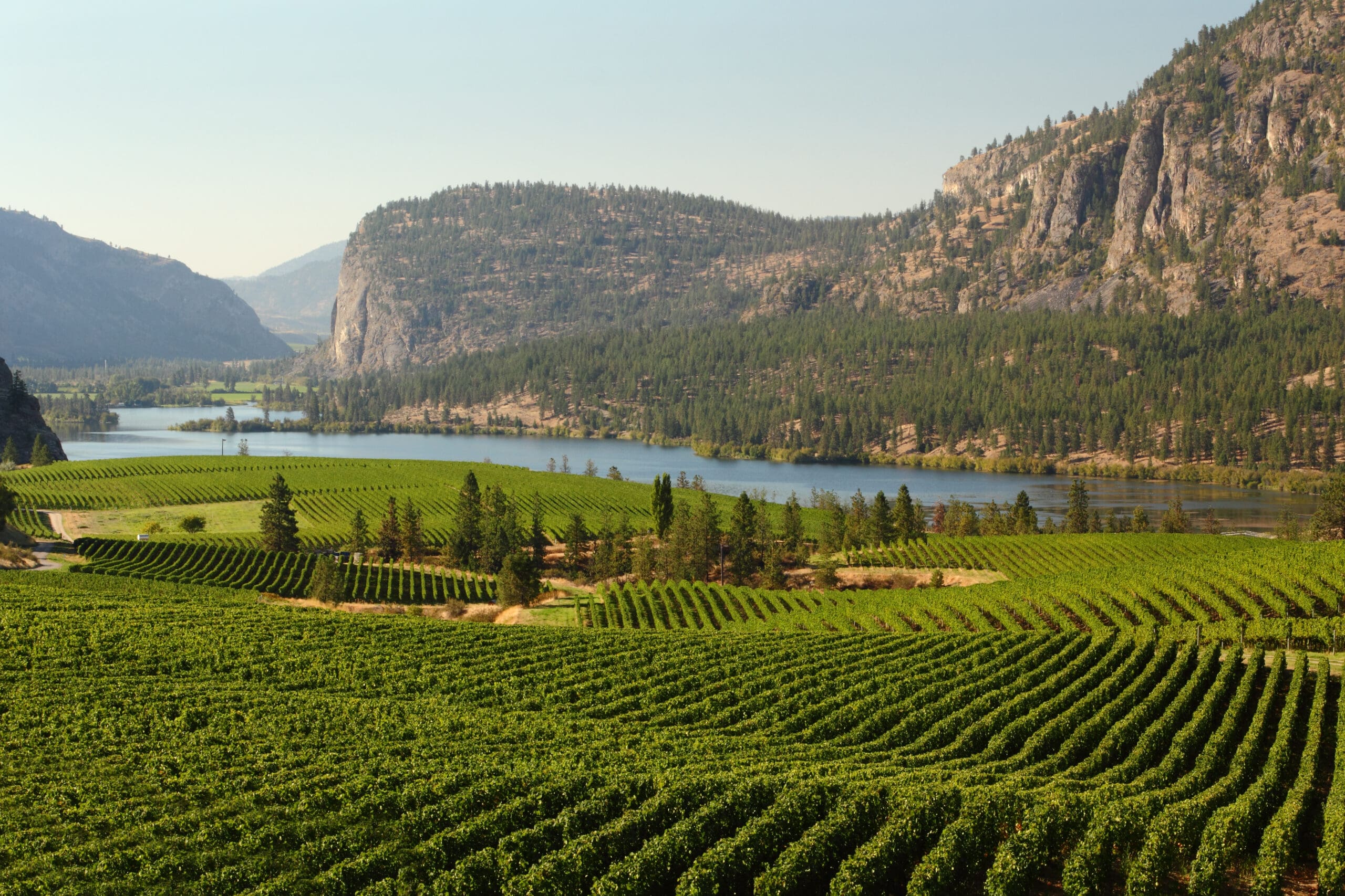 okanagan